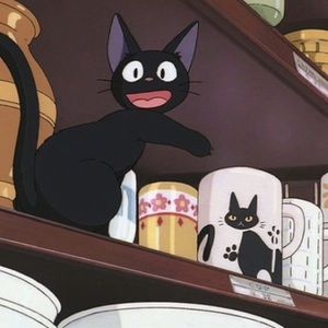 Meet your Posher, Chasity